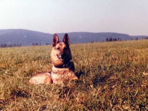Foto 20